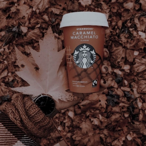 aesthetic brown pfp soft