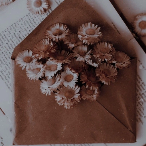 aesthetic brown pfps for Discord