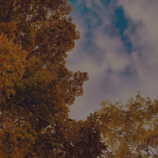 aesthetic brown pfps kawaii style