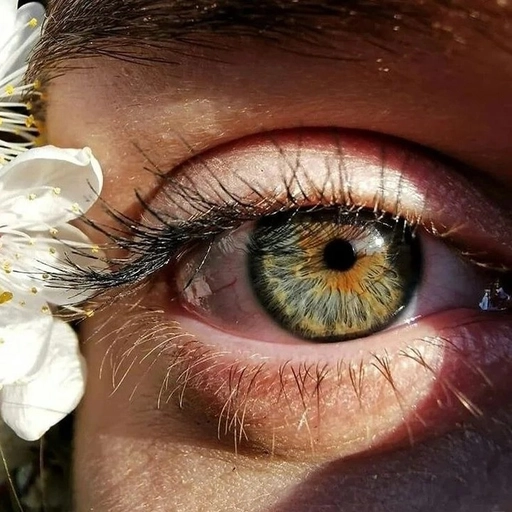 evil eye pfp aesthetic hd icon