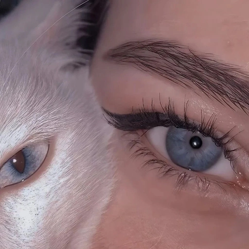 vintage retro eye aesthetic pfp