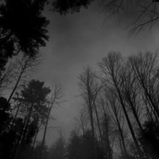 grey aesthetic pfp for discord