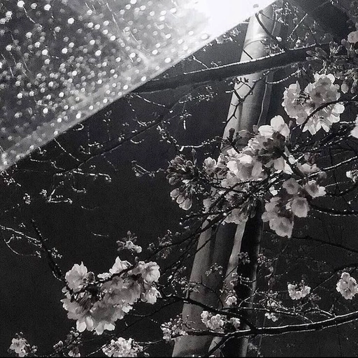 dark grey aesthetic pfp for instagram