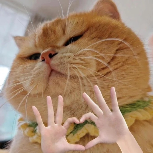 kawaii heart aesthetic profile pictures pack