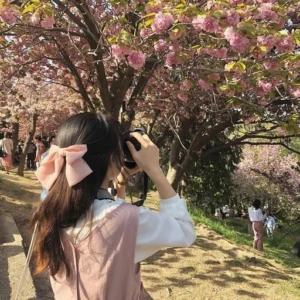 korean discord pfp hd