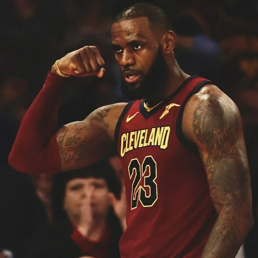 LeBron James PFP funny meme