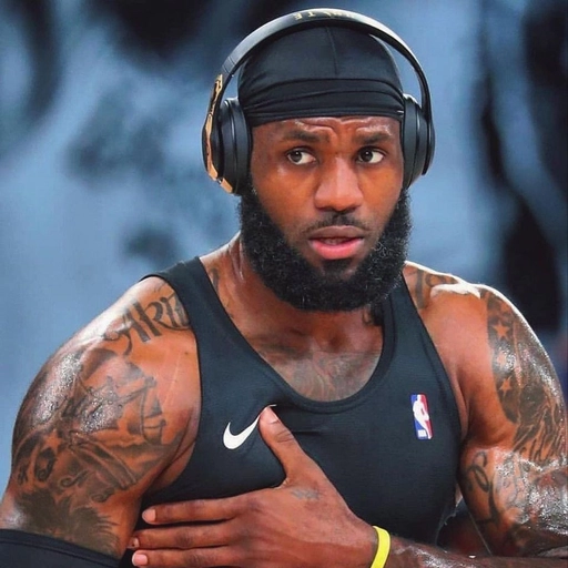 Aesthetic LeBron James profile picture