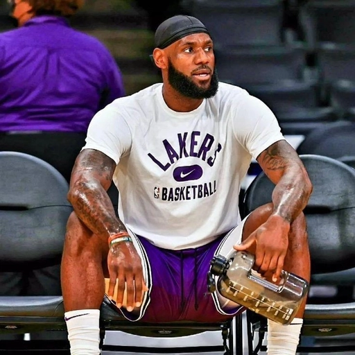 LeBron James PFP cool style