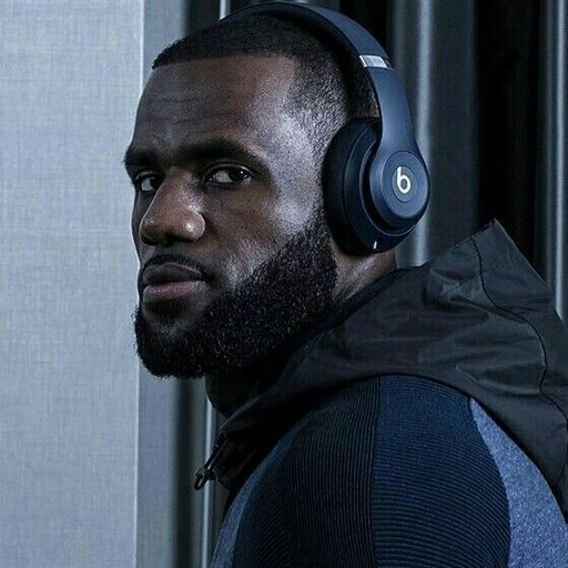 LeBron meme profile pic