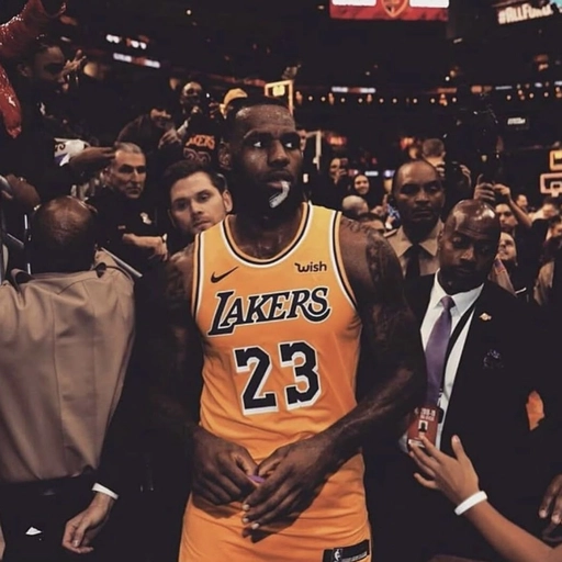 LeBron James funny PFP Pinterest