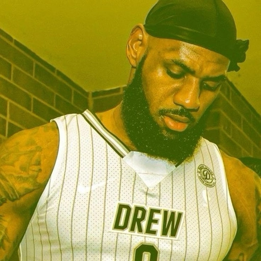 LeBron James cartoon meme PFP