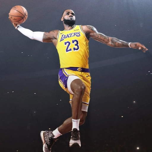 Funny LeBron James PFP collection