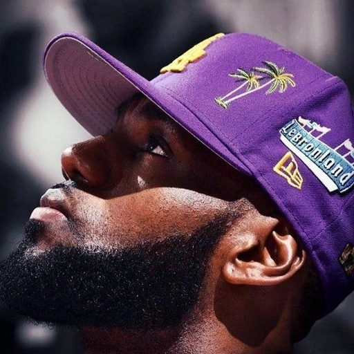 Funny LeBron James PFP Pinterest style