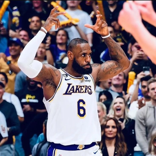 Funny Lebron meme PFP