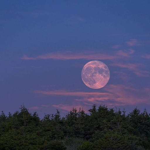 aesthetic moon pfp for instagram