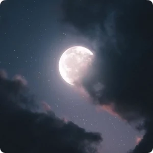 aesthetic moon black and white pfp