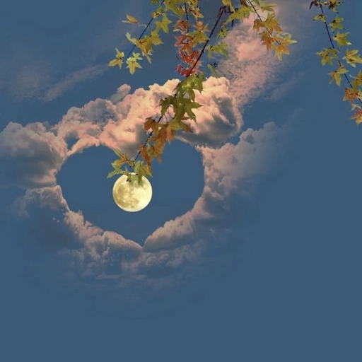 moon aesthetic wallpaper profile picture