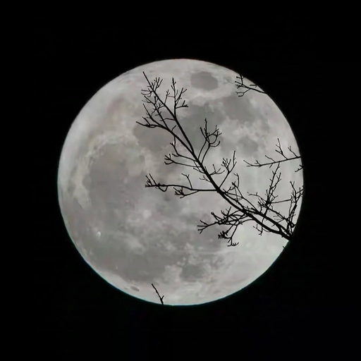 moon aesthetic dark aesthetic pfp