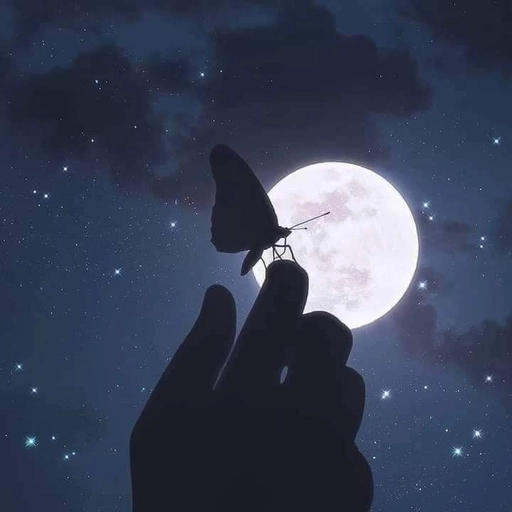 aesthetic moon profile picture