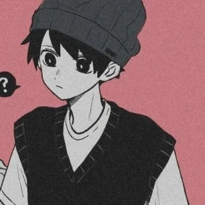 classy pfp matching pair