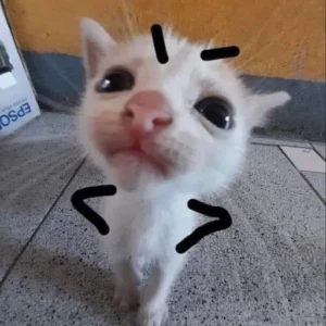 crazy funny meme pfp