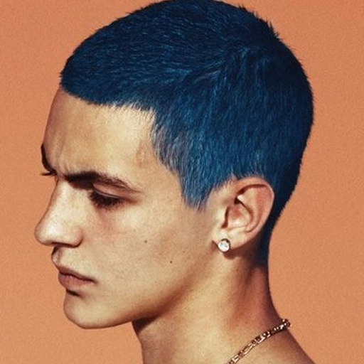 aesthetic normal pfp icon 