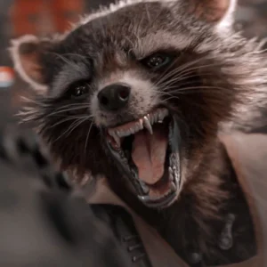 rocket raccoon superhero pfp