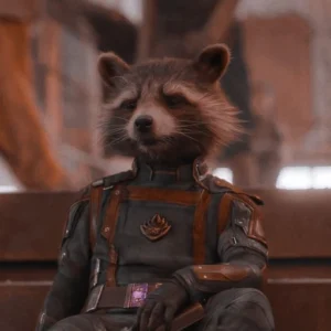 rocket raccoon digital pfp