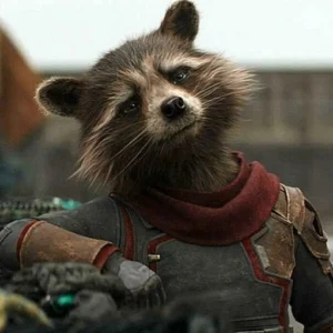 rocket raccoon crisp pfp