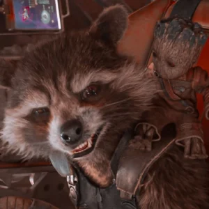 rocket raccoon cool pfp