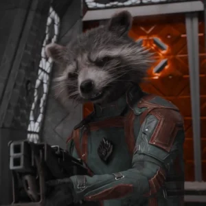 rocket raccoon pfp cute