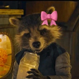 rocket raccoon profile picture