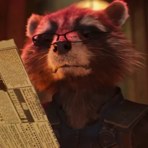 rocket raccoon profile picture aesthetic