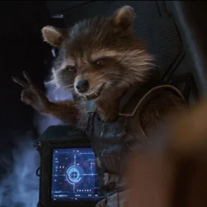 rocket raccoon comic pfp cute