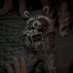rocket raccoon pfp action