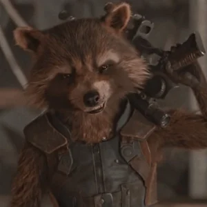 rocket raccoon pfp smiling