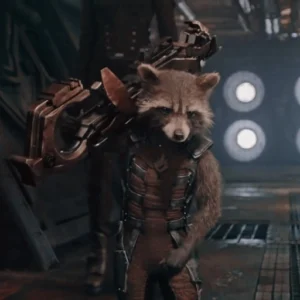 rocket raccoon pfp angry