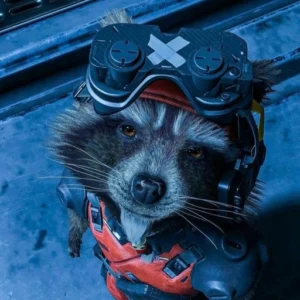 rocket raccoon pfp serious