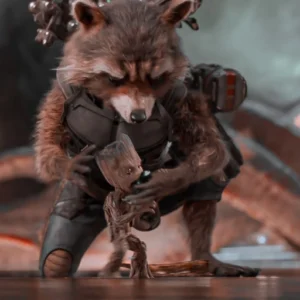 rocket raccoon pfp playful