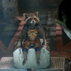 rocket raccoon aesthetic pfp