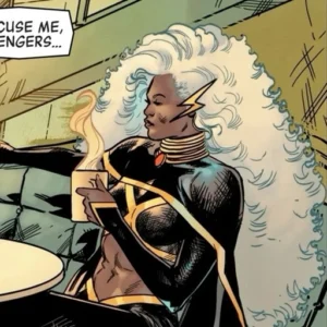 storm profile picture hd