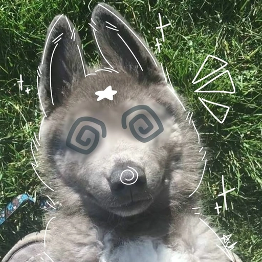 wolf therian pfp stylish