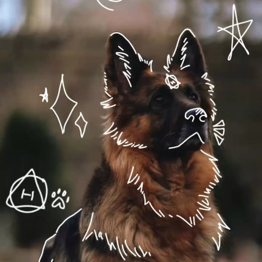 therian pfp hd aesthetic