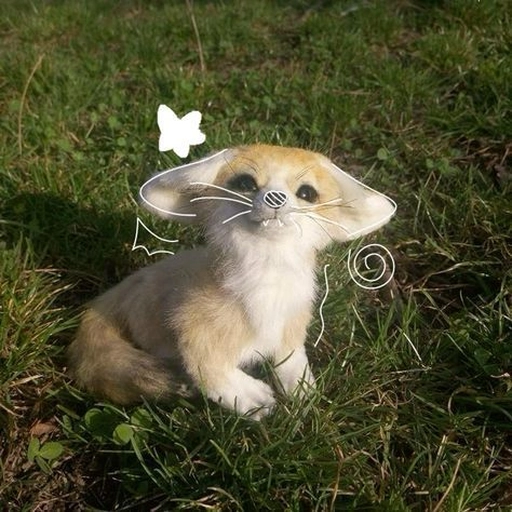 therian pfp matching