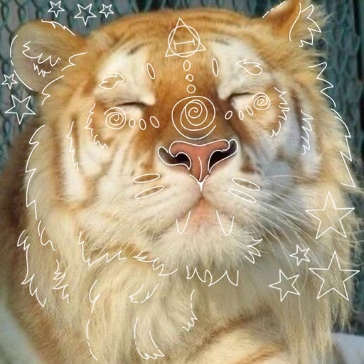 therian pfp mystical