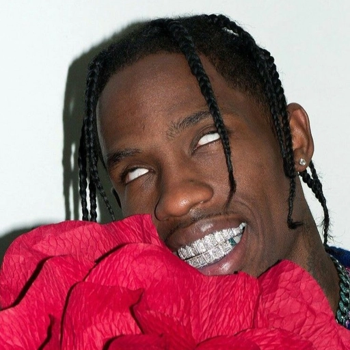 travis scott aesthetic pfp