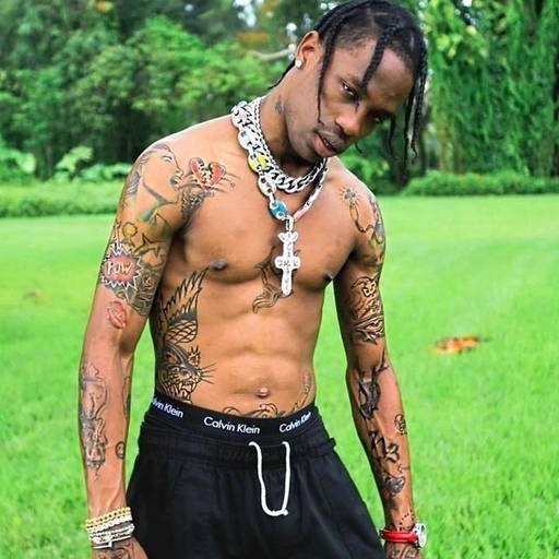 cool travis scott pfp