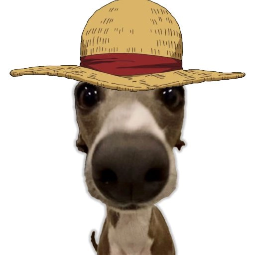 veshremy aesthetic profile picture