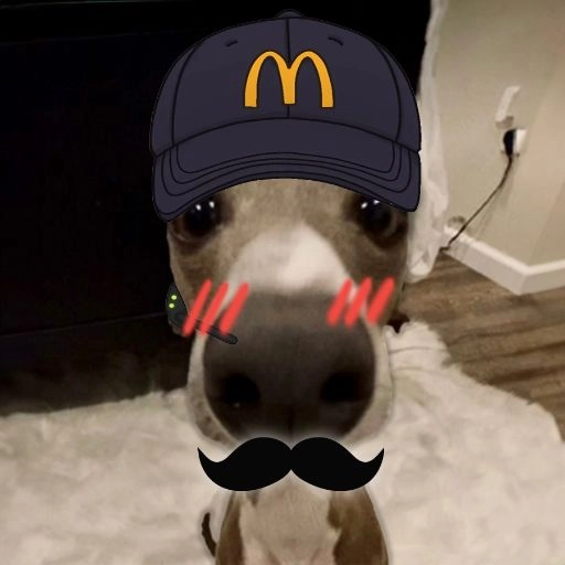 veshremy dog pfp 