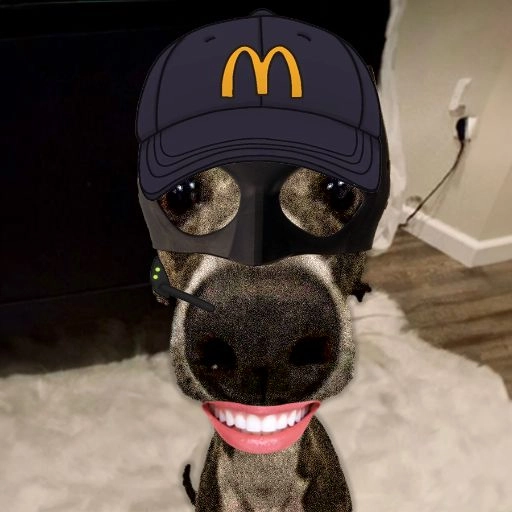 veshremy com profile picture pfp